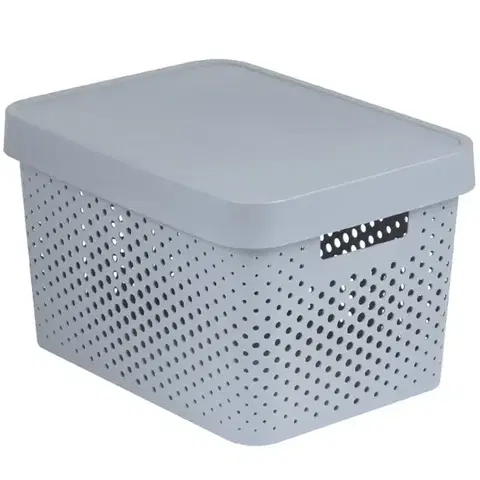 Vybavenie a dekorácie bytu Úložný box s vekom 17 l Infinity 229168 svetlosivý