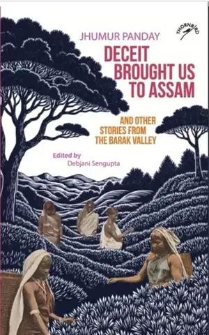 Novely, poviedky, antológie Deceit Brought us to Assam and Other Stories from the Barak Valley - Jhumur Panday
