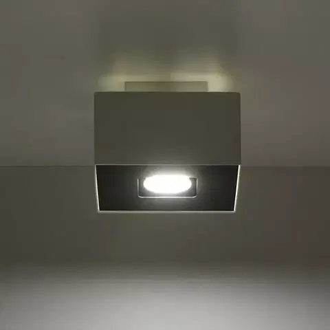 Vnútorné osvetlenie Stropná Lampa Atlanta 1 WHITE A-066