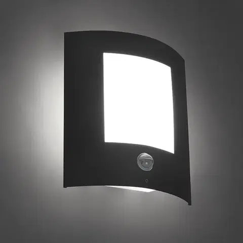 Vonkajsie svetlo so senzorom Vonkajšia nástenná lampa antracit s pohybovým senzorom IP44 - Emmerald 1