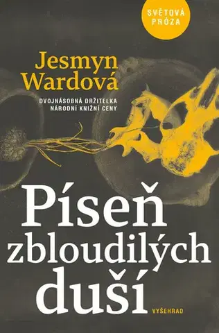 Romantická beletria Píseň zbloudilých duší - Jesmyn Wardová
