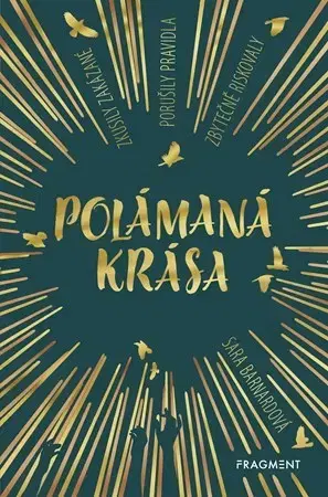 Young adults Polámaná krása - Sara Barnardová