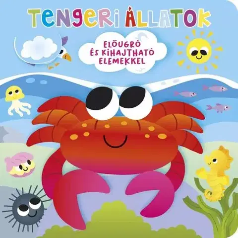 Leporelá, krabičky, puzzle knihy Ki bújt el? Tengeri állatok