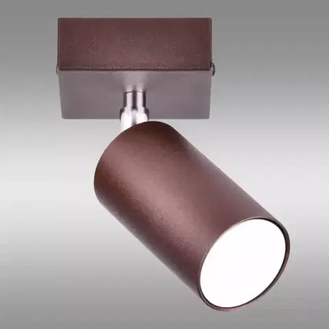 Moderné lampy do obývačky Svietidlo  PEGAZ 2790/Z-GU10-1  LS1