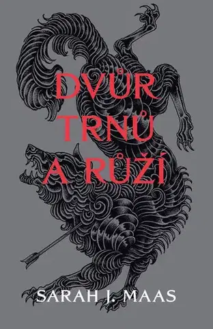 Young adults Dvůr trnů a růží - Sarah J. Maas