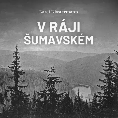 Svetová beletria Tympanum V ráji šumavském