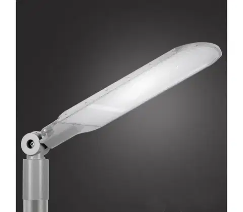LED osvetlenie BRILAGI - LED vonkajšie pouličné svietidlo URBANLIGHT LED/250W/230V sivé IP65 BRI805