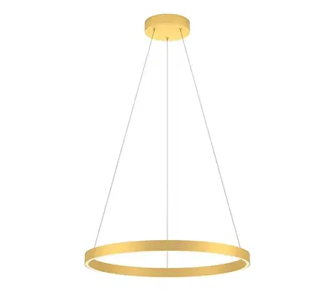 Svietidlá Redo 01-2865 - LED stmievateľný luster na lanku FEBE LED/37W/230V zlatý 01-2865