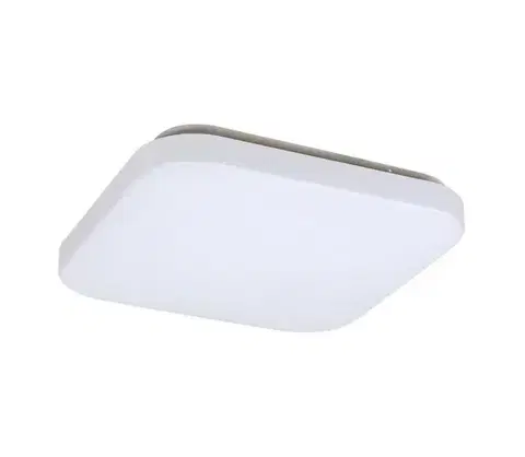 Svietidlá Rabalux 3340 - LED stropné svietidlo ROB LED/20W/230V 3340