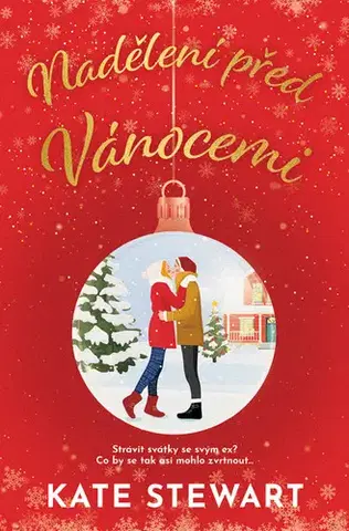 Romantická beletria Nadělení před Vánocemi - Kate Stewart