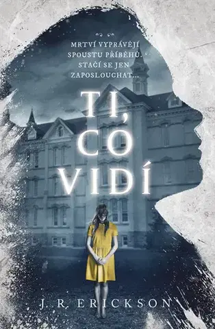 Detektívky, trilery, horory Ti, co vidí - J.R. Erickson