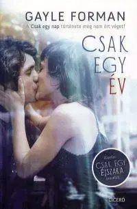 Romantická beletria Csak egy év - Gayle Formanová
