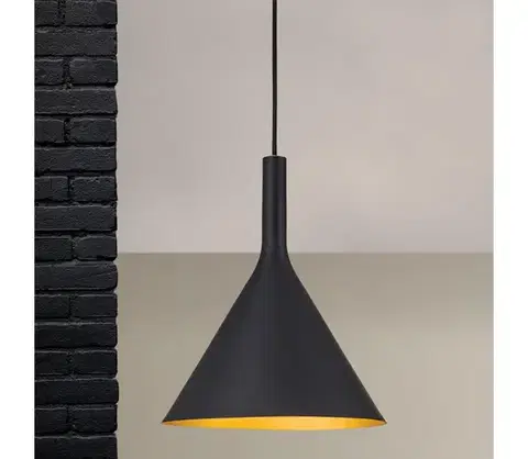 Svietidlá Orion - Závesné svietidlo na lanku GUNDA 1xE27/60W/230V priemer 25 cm čierna/zlatá HL 6-1628 schwarz-gold