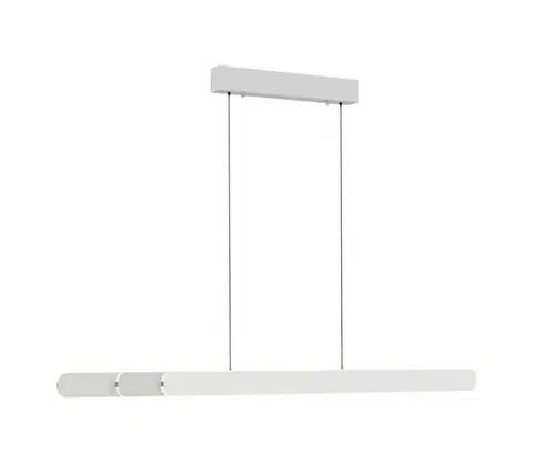 Svietidlá Schöner Wohnen 12577-16 - stmievateľný LED luster na lanku ADRIANA 2xLED/24W/230V biela 12577-16