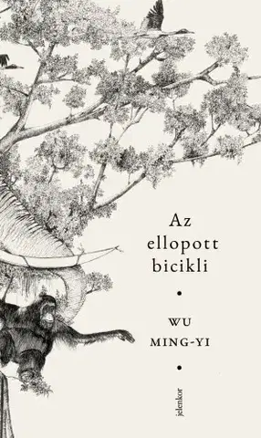 Svetová beletria Az ellopott bicikli - Wu Ming-yi
