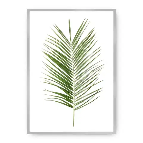 Obrazy Plagát Palm Leaf Green