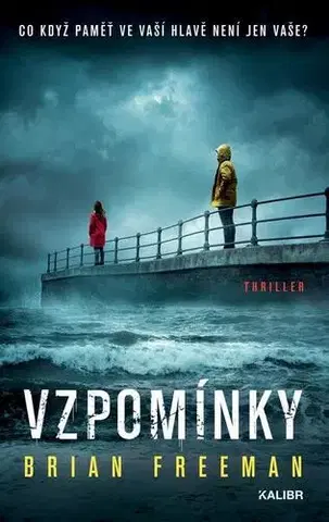Detektívky, trilery, horory Vzpomínky - Brian Freeman