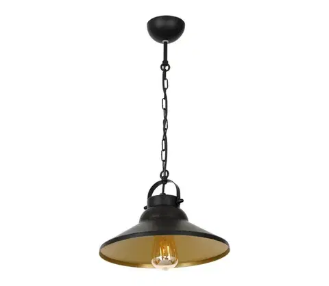 Svietidlá  Luster na reťazi IRON 1xE27/60W/230V 6341