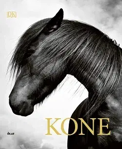 Kone Kone - Hartley Edwards Elwyn
