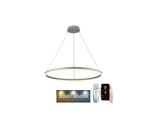 Svietidlá  LED Stmievateľný luster na lanku LED/55W/230V 3000-6500K + diaľkové ovládanie J4309/W