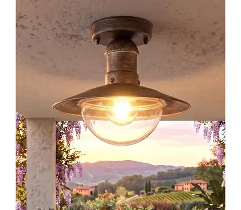 Záhradné lampy BRILAGI - Vonkajšie stropné svietidlo MOLDE 1xE27/60W IP44 bronzová/patina 63030