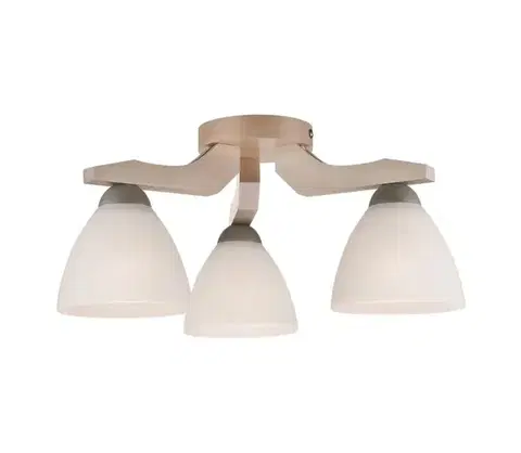 Svietidlá  Prisadený luster ADRIANO 3xE27/60W/230V LM 3.55