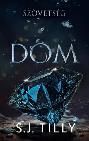 Romantická beletria Dom - S. J. Tilly