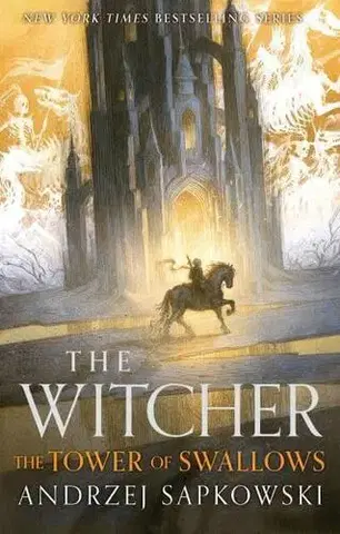Sci-fi a fantasy The Tower of the Swallow - Andrzej Sapkowski,David French