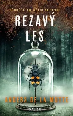 Detektívky, trilery, horory Rezavý les - Motte de la Anders,Jaroslav Bojanovský