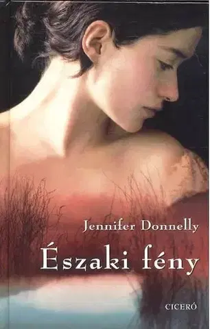 Beletria - ostatné Északi fény - Jennifer Donnelly,Marianne Kiss