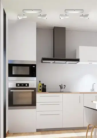 Stropná svetla Nástenná stropná svietiaca páska biela 2x40W Picardo
