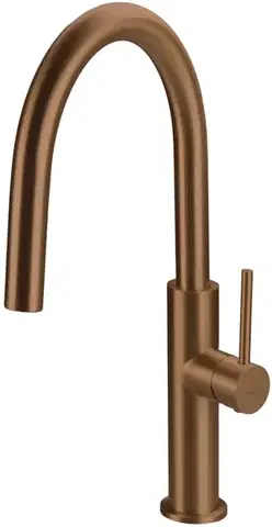 Kúpeľňové batérie DEANTE - Kuchynská batéria Evora, brúsený bronz BQJ_C62M