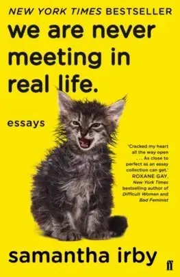 Eseje, úvahy, štúdie We Are Never Meeting in Real Life - Samantha Irby