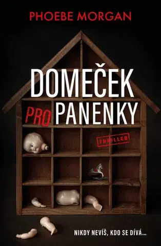 Detektívky, trilery, horory Domeček pro panenky - Phoebe Morgan