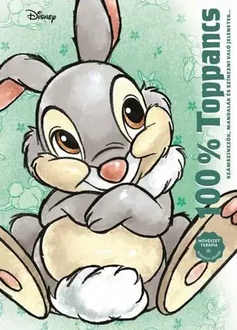 Pre deti a mládež - ostatné Disney - 100% Toppancs