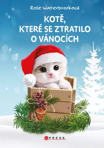 Rozprávky Kotě, které se ztratilo o Vánocích - Rose Waterbrooková