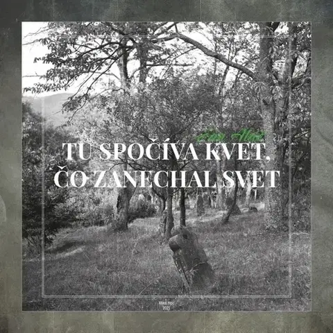 Umenie - ostatné Tu spočíva kvet, čo zanechal svet - Ján Aláč