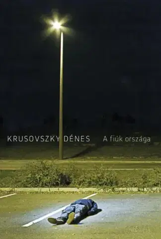 Svetová beletria A fiúk országa - Dénes Krusovszky