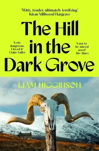 Svetová beletria The Hill in the Dark Grove - Liam Higginson
