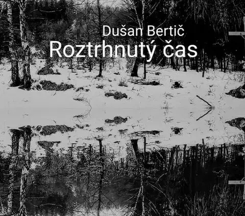 Detektívky, trilery, horory Roztrhnutý čas I. - Dušan Bertič