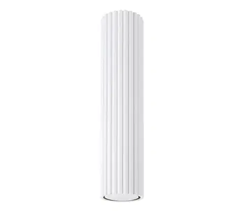 Svietidlá  SL.1532 - Bodové svietidlo KARBON 1xGU10/10W/230V 30 cm biela SL.1532