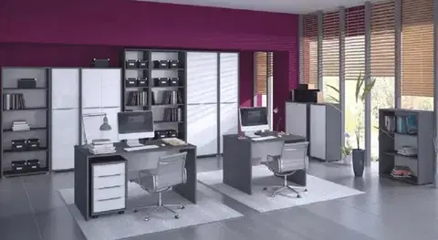 Obývacie steny KONDELA Rioma New pracovňa grafit / biela