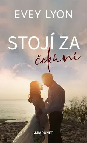 Romantická beletria Stojí za čekání - Lake Spark 3 - Evey Lyon,Jana Pacnerová