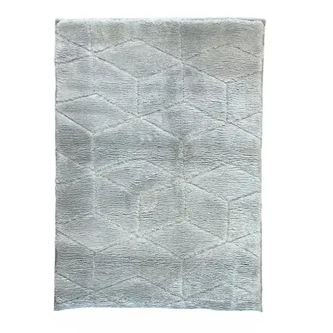 Moderné koberce Koberec Cosy Rug 0,6/0,9 strieborná