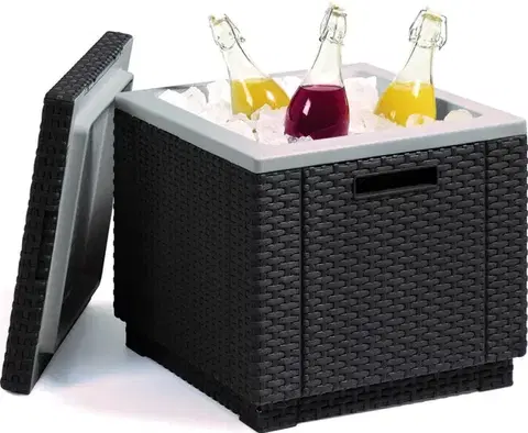 Záhradné úložné boxy Záhradný chladiaci box ICE CUBE