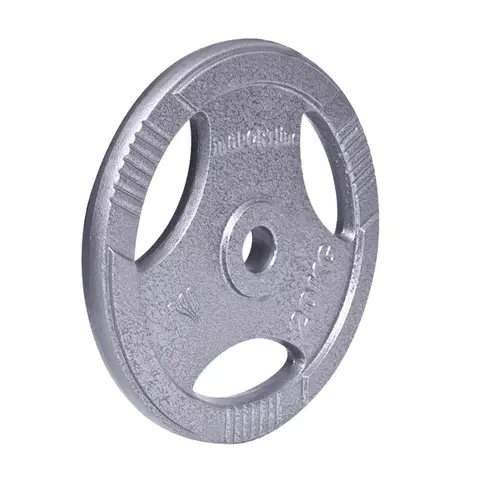 Závažia k činkám Liatinový kotúč inSPORTline Hamerton 20 kg 30 mm