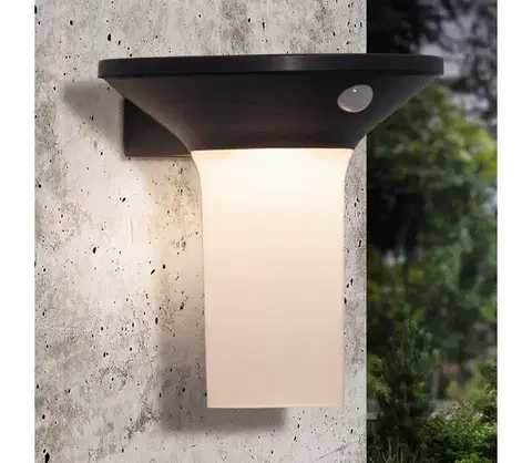 Svietidlá Eglo 900243 - LED vonkajšie solárne svietidlo so senzorom 6xLED/0,03W/3,7V IP44 900243