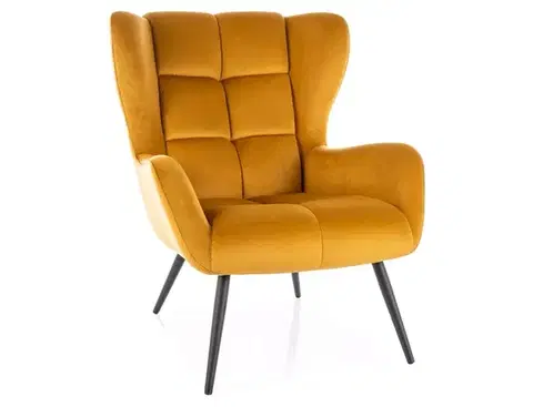 Kreslá Kreslo Louis Velvet