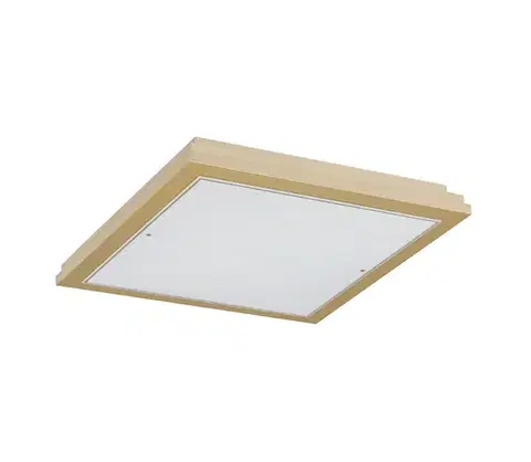 Svietidlá Argon 7146 - Stropné svietidlo CASERTA 2xE27/15W/230V 32x32 cm 7146