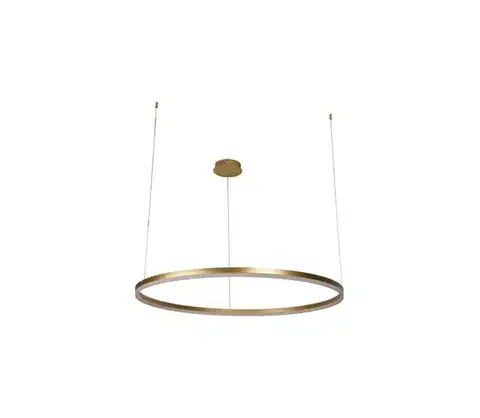 Svietidlá  LED Stmievateľný luster na lanku LED/55W/230V 3000-6500K + diaľkové ovládanie J4379/G